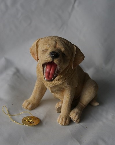 Golden labrador puppy - labrador, dog