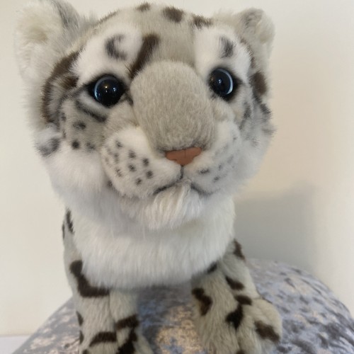 Lucky the snow leopard - lucky, quality