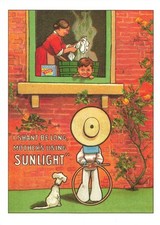 SUNLIGHT SOAP ADVERTISING
