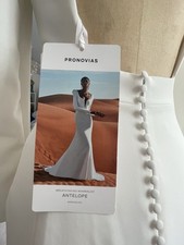 Pronovias Women's Antelope