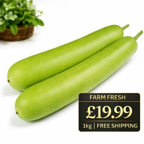 Farm fresh bottle gourd - bottle,