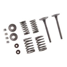 Intake & Exhaust Valves Spring