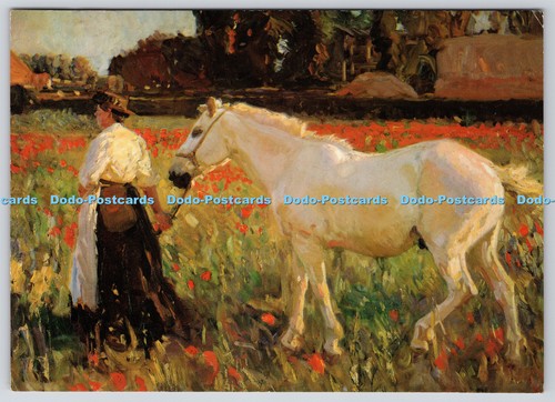 L351638 the poppy field - the,
