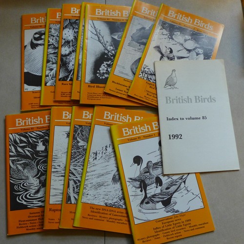 British birds magazines - birds, (full