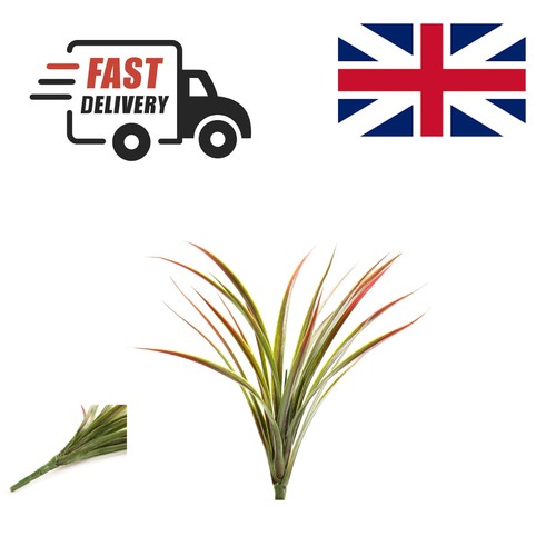 Vibrant 45cm yucca plant - plant,