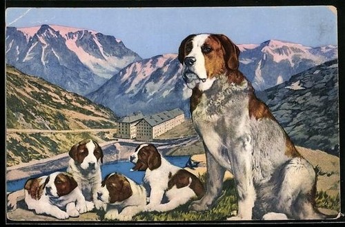 Postcard hospice grand - postcard,