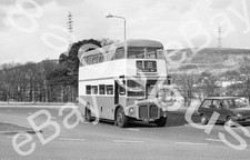 Bus Negative & Copyright