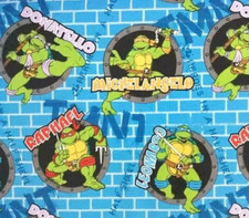 teenage mutant ninja turtles