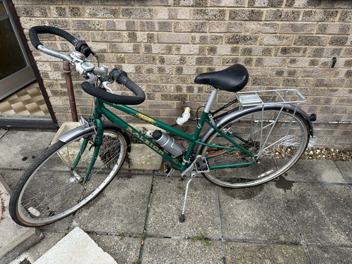 Raleigh pioneer ladies bike - pioneer,