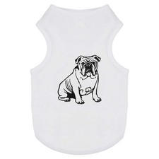 'English Bulldog' Pet Dog /