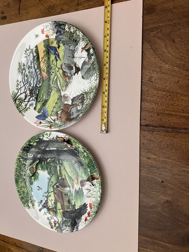 Colin newman collectible - colin,
