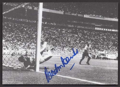 1970 world cup gordon banks - cup,