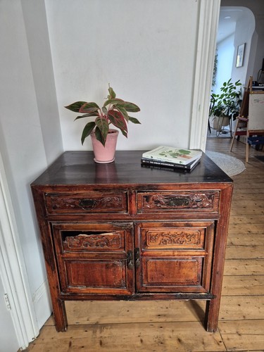 Vintage chinese elm - vintage,