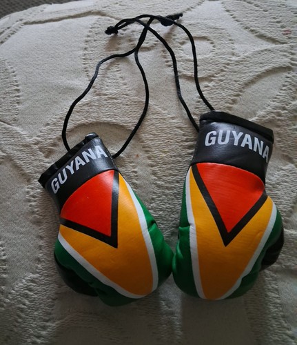 Guyana flag mini - guyana, boxing