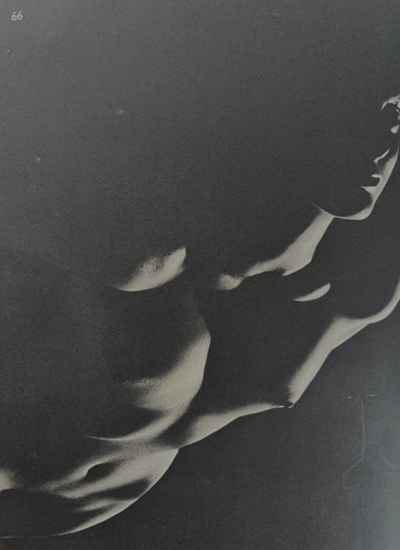 Striking nude study plate - , 66