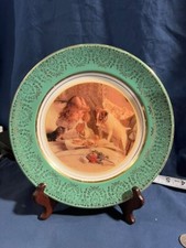 Jack Russell Terrier