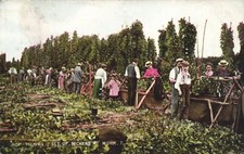 PC HOP-PICKING SET OF PICKERS