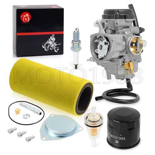 Carburetor oil filter air - carburetor,