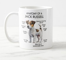 Anatomy jack russell - a,