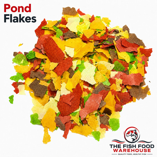 Pond flakes floating - pond, koi