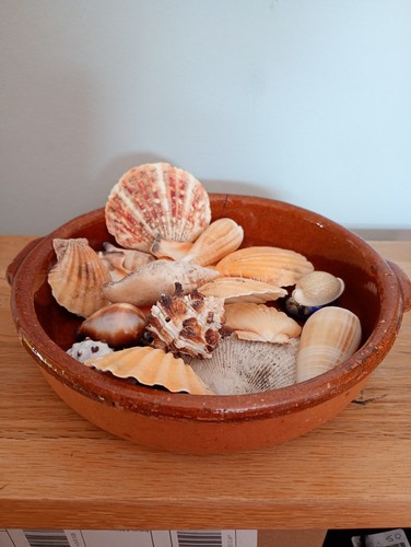Clay bowl with sea - clay, for