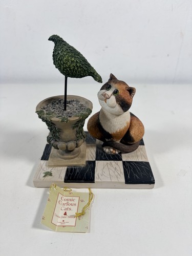 Comic curious cats a - cats, bird