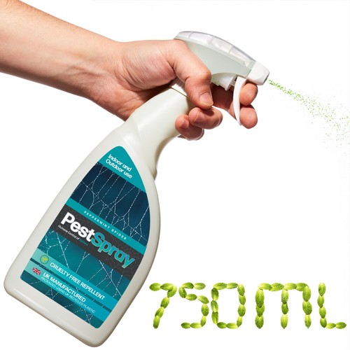 Peppermint spider pestspray - peppermint,