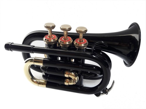 Pocket trumpet pitch - pocket,