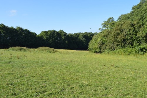 Photo 6x4 field - 6x4,