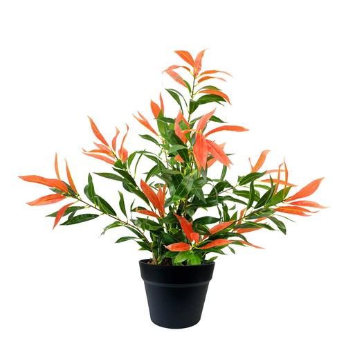 Artificial ficus tree plant - artificial,
