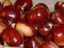 Sweet Chestnuts 2 Kg (inc Packaging). Medium & Larger Small Sizes. Fresh. Lot C