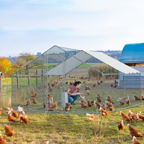 Large metal chicken coop - large,