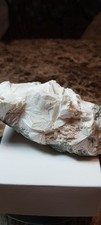 Pectolite splinters natural
