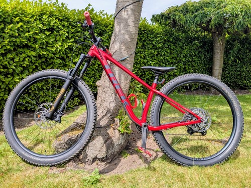 Trek roscoe adult - 9, 29in