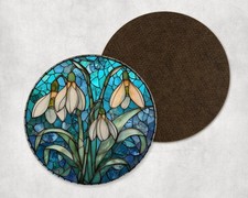 Snowdrop Flowers Nature