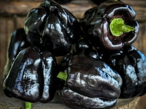 Zulu sweet bell pepper - zulu,