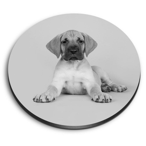 Round mdf magnets great - magnets,