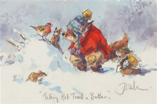 Funny Fox and wildlife, Christmas Cards pack of 10 by Jonathan Walker C603X