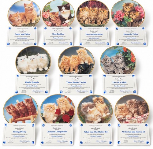 Danbury mint purrfect - mint,