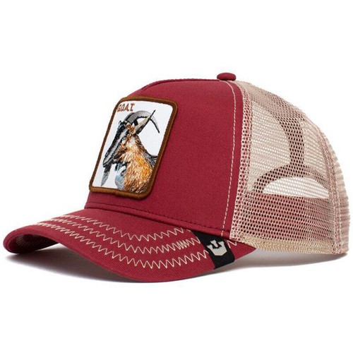 Animal cartoon snapback cotton - cartoon,