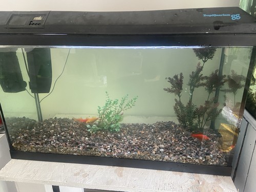 Complete fish tank - complete, lid