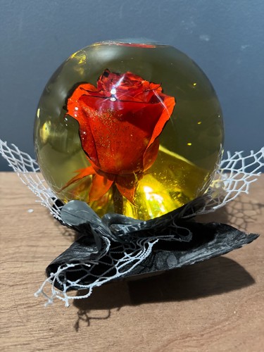 Forever red rose wblack - forever,