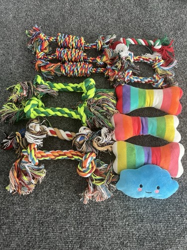 New dog toys - dog,