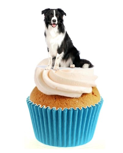 Novelty cute collie dog - novelty, 12