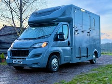 *GORGEOUS* 3.5T Stallion