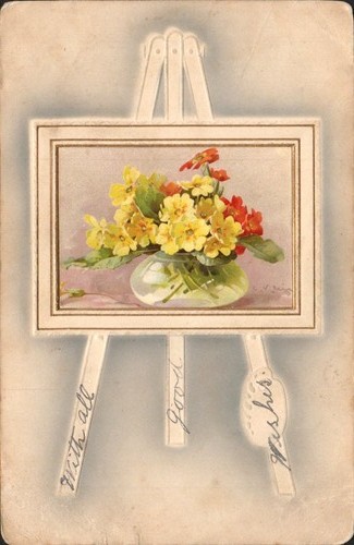 Catherine klein primroses - catherine,