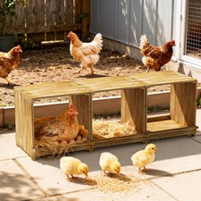 Wooden chicken nesting box - chicken,
