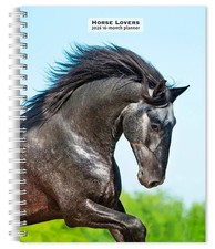 Horse Lovers Diary 2026 |