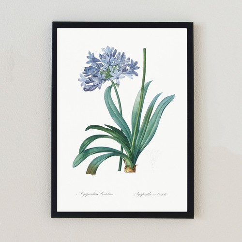 Botanical vintage flowers - botanical,
