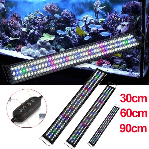 Aquarium fish tank led - aquarium,